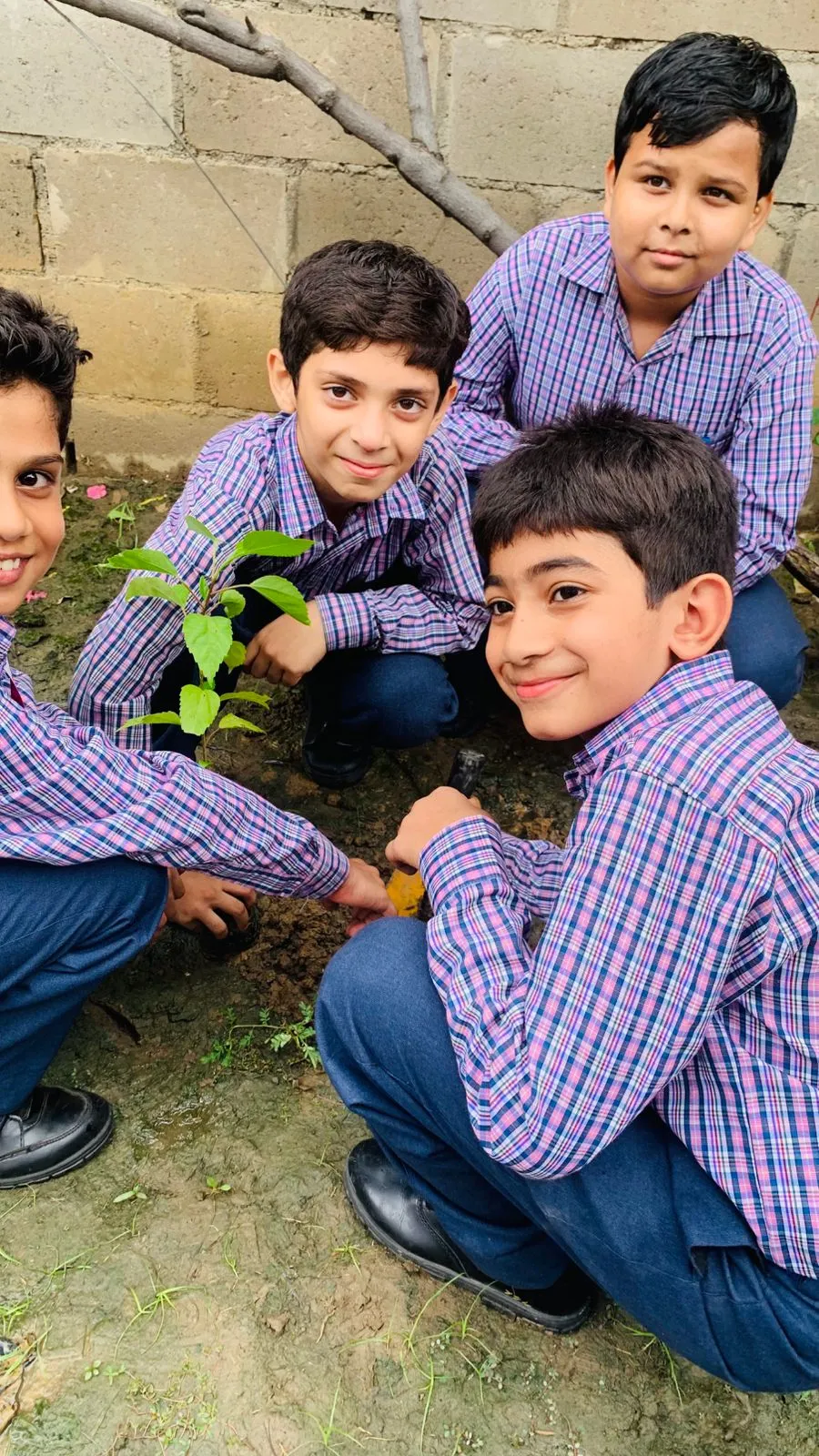 Van Mahotsav Tree Plantation, photo 17