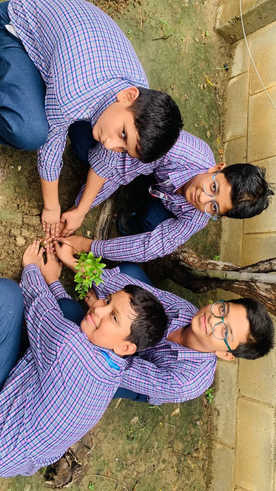 Van Mahotsav Tree Plantation, photo 26