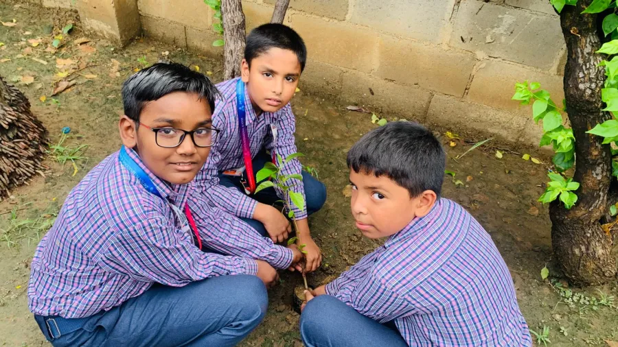 Van Mahotsav Tree Plantation, photo 24