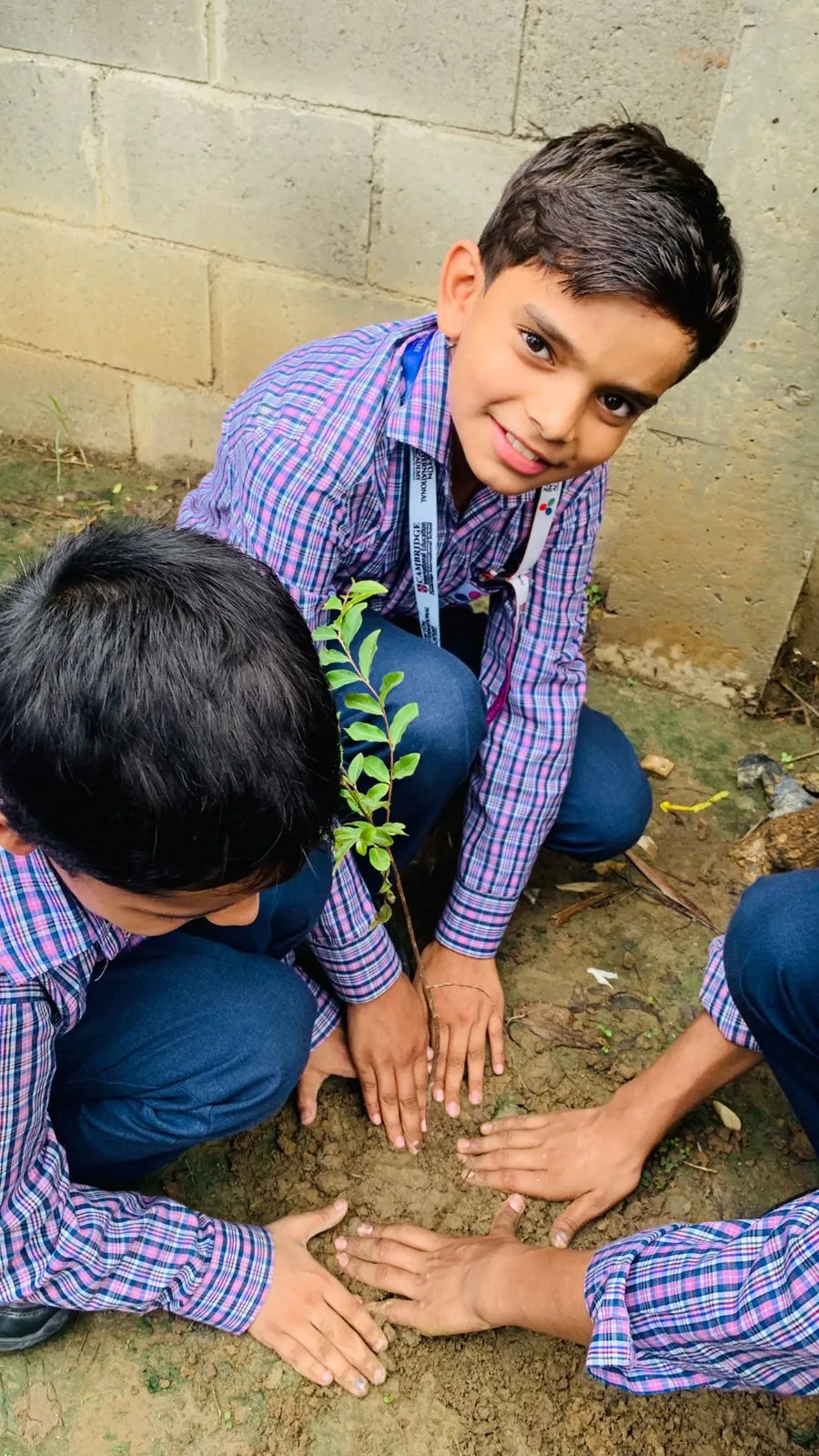 Van Mahotsav Tree Plantation, photo 22